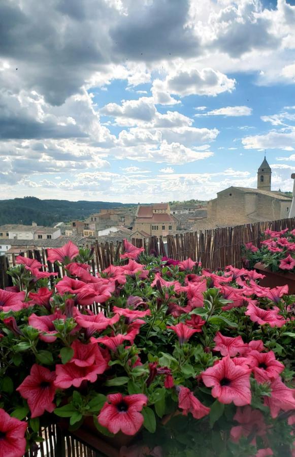 Espectacular Casa Rural Ca L'Esquerre Cervia Экстерьер фото